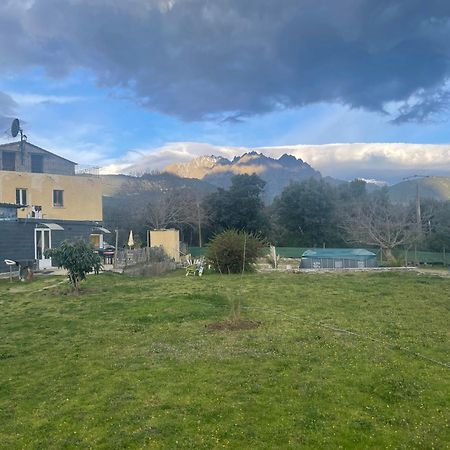 Le Coin Tranquille Hotel Morosaglia Exterior foto